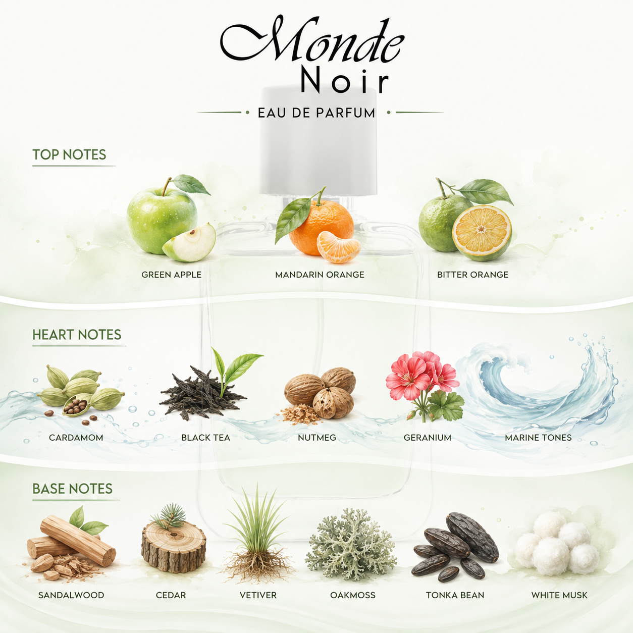 Aramaic Monde Noir Eau De Parfum for Men | Fresh Aquatic Citrus Fragrance | 50ml